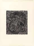Artist: b'Hayward Pooaraar, Bevan.' | Title: b'Poison fish series' | Date: 1987 | Technique: b'linocut, printed in black ink, from one block'
