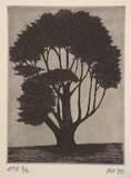 Artist: b'Atkins, Ros.' | Title: b'Dark tree' | Date: 2000, November | Technique: b'engraving, printed in black ink, from one copper plate'