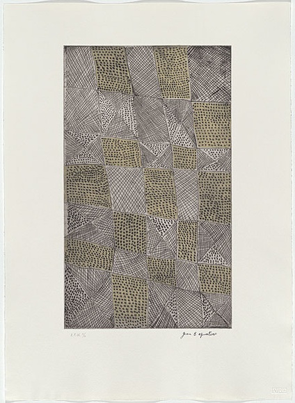 Artist: b'Apuatimi, Jean Baptiste (Pulukatu)' | Title: b'Parlini jilamara' | Date: 1999, May-June | Technique: b'etching, printed in colour in intaglio and relief, from one plate and one stencil' | Copyright: b'\xc2\xa9 Jean Baptist Apuatimi, Licensed by VISCOPY, Australia'