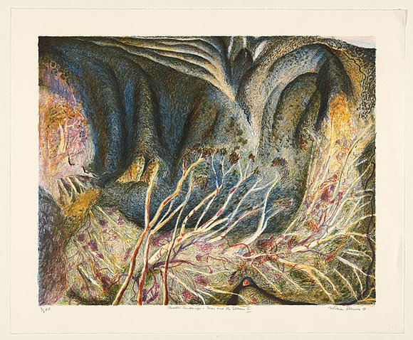 Artist: b'Robinson, William.' | Title: b'Creation landscape - man and the spheres I, II, III.' | Date: 1991 | Technique: b'lithograph, printed in colour, from multiple plates'