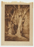 Artist: b'van RAALTE, Henri' | Title: b'Tuarts of the South-West.' | Date: 1920 | Technique: b'drypoint, printed in brown ink with plate-tone, from one plate'