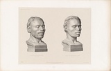 Artist: bDumont-D'Urville, Jules S\xc3\xa9bastien C\xc3\xa9sar. | Title: b'Torres Strait Islander heads.' | Date: 1846 | Technique: b'lithograph, printed in black ink from one stone'