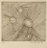 Artist: b'Nuggett, Amy.' | Title: b'Jumu' | Date: 1994, October - November | Technique: b'etching, printed in black ink, from one plate'