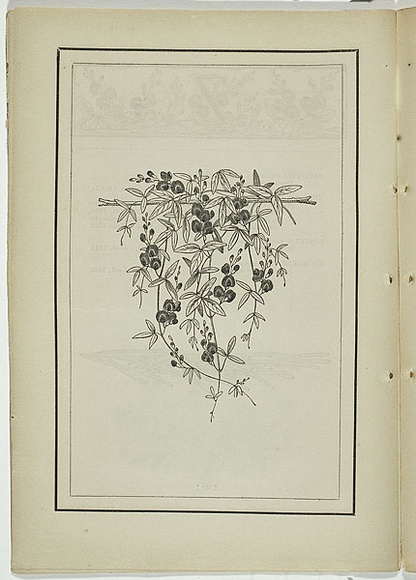 Title: b'not titled [zichya angustifolia].' | Date: 1861 | Technique: b'woodengraving, printed in black ink, from one block'