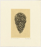 Artist: b'Watson, Judy.' | Title: b'Fruit and seeds 2' | Date: 2000 | Technique: b'etching, printed in black ink, from one plate; chine coll\xc3\xa9'