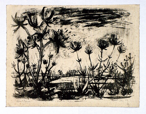 Artist: b'Grieve, Robert.' | Title: b'Swamp landscape' | Date: 1957 | Technique: b'lithograph, printed in black ink, from one stone'