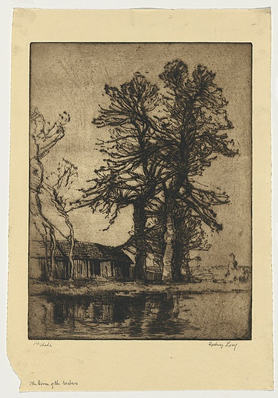 Artist: b'LONG, Sydney' | Title: b'The home of the rooks' | Date: 1918 | Technique: b'line-etching, printed in warm black ink with plate-tone, from one copper plate' | Copyright: b'Reproduced with the kind permission of the Ophthalmic Research Institute of Australia'