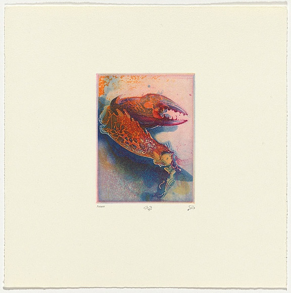 Artist: b'SCHMEISSER, Jorg' | Title: b'Colour etching' | Date: 1984 | Technique: b'etching and aquatint, printed in colour, from three plates' | Copyright: b'\xc2\xa9 J\xc3\xb6rg Schmeisser'