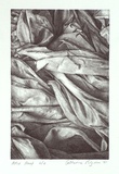 Artist: Pilgrim, Catherine. | Title: Fabric #2 | Date: 2001, July | Technique: lithograph, printed in black ink, from one plate