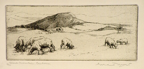 Artist: b'Mort, Eirene.' | Title: b'Black Mountain, Canberra' | Date: 1924 | Technique: b'etching, printed in black ink, from one plate'