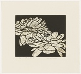 Artist: Forthun, Louise. | Title: Glorie Van H | Date: 2001 | Technique: etching and aquatint, printed in green ink, from one copper plate