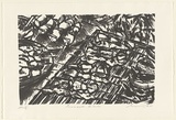 Artist: Lee, Graeme. | Title: Pineapple kebabs | Date: 1997, March | Technique: lithograph, printed in black ink, from one stone