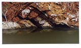 Artist: b'ROSE, David' | Title: b'Rock pool, Ormiston Gorge' | Date: 1990 | Technique: b'screenprint, printed in colour, from multiple stencils'
