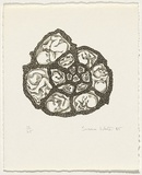 Artist: b'White, Susan Dorothea.' | Title: b'Growth spiral' | Date: 1985 | Technique: b'lithograph, printed in black ink, from one stone [or plate]'