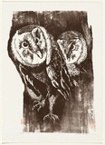 Artist: Thorpe, Lesbia. | Title: Grass owls | Date: 1983 | Technique: woodcut, printed in brown ink, from one block
