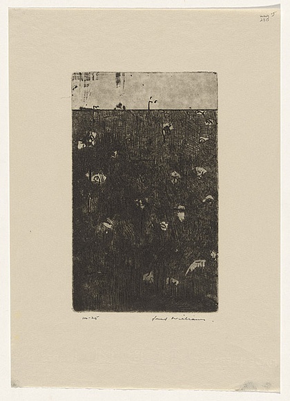 Artist: b'WILLIAMS, Fred' | Title: b'Upwey landscape number 4' | Date: (1965-66) | Technique: b'ething, engraving, mezzotint and flat biting, printed in black ink, from one copper plate' | Copyright: b'\xc2\xa9 Fred Williams Estate'