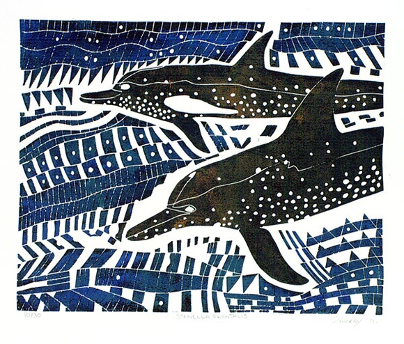 Artist: b'Buckley, Harold Lawrence.' | Title: b'Stenella frontalis' | Date: 1992 | Technique: b'linocut'