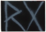 Title: b'Chickenpox' | Date: 2003-2004 | Technique: b'stencils, printed with aerosol paint, from multiple stencils'