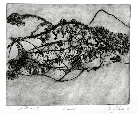 Artist: b'Shepherdson, Gordon.' | Title: b'The Mackerel: Number ten' | Date: 1979 | Technique: b'etching and aquatint, printed in colour with plate-tone, from one plate'