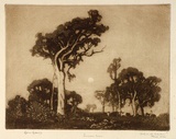 Artist: b'LINDSAY, Lionel' | Title: b'Summer moon, Wahroonga, Sydney' | Date: 1925 | Technique: b'aquatint, printed in brown ink, from one plate' | Copyright: b'Courtesy of the National Library of Australia'