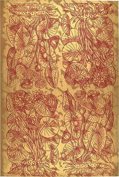 Artist: b'REDBACK GRAPHIX' | Title: b'Wrapping paper: Gold' | Date: 1986 | Technique: b'screenprint, printed in colour, from three stencils'