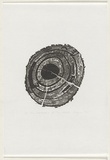 Artist: Payne, Patsy. | Title: The contents of my world | Date: 1992 | Technique: wood-engraving, printed in black ink, from one block