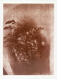 Artist: TO, Hiram | Title: (Flower design) | Date: c.1989 | Technique: photocopy