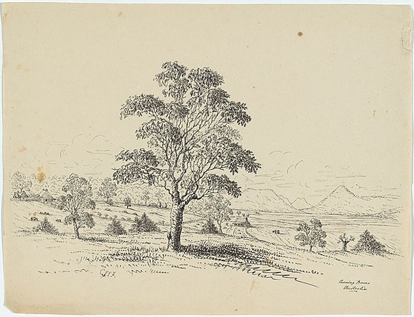 Title: b'Canning Downs' | Date: c.1853 | Technique: b'lithograph, printed in black ink, from one stone'