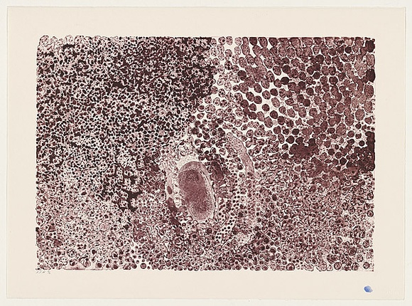 Artist: b'Yukenbarri, Lucy.' | Title: b'Winpulpula rockhole' | Date: 2001, September - October | Technique: b'lithograph, printed in red madder ink, from one stone'