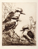 Artist: LONG, Sydney | Title: The roost | Date: 1927 | Technique: line-etching, printed in brown ink from one copper plate | Copyright: Reproduced with the kind permission of the Ophthalmic Research Institute of Australia