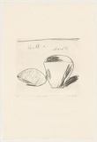 Title: Shell and bowl | Date: 1982 | Technique: drypoint, printed in black ink, from one perspex plate