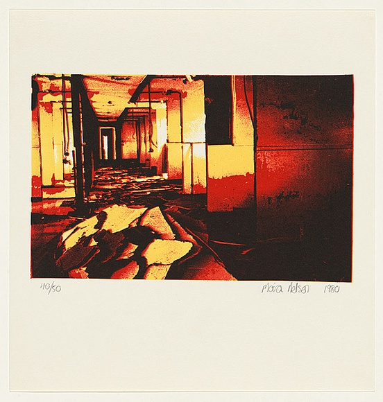 Artist: b'Nelson, Moira.' | Title: b'not titled [interior]' | Date: 1980 | Technique: b'screenprint, printed in colour, from three stencils'