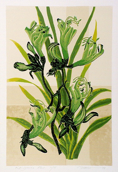 Artist: b'letcher, William.' | Title: b'Kangaroo paw.' | Date: 1979 | Technique: b'screenprint, printed in colour, from multiple stencils' | Copyright: b'With the permission of The William Fletcher Trust which provides assistance to young artists.'