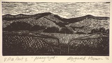 Artist: Hormann, Margaret. | Title: Penny royal | Date: 1986 | Technique: wood engraving, printed in black ink, from one block