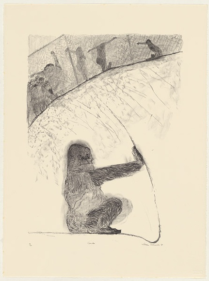 Artist: b'Robinson, William.' | Title: b'Gorilla [1].' | Date: 1990 | Technique: b'lithograph, printed in brown ink, from one plate'