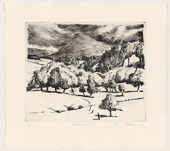 Artist: b'AMOR, Rick' | Title: b'Arthurs Creek.' | Date: 1992 | Technique: b'etching, printed in black ink with plate-tone, from one plate'