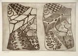 Artist: Couzens, Vicki. | Title: Ngootypoorteen | Date: 2000, June | Technique: etching, printed in black ink, from one plate | Copyright: © V. Couzens