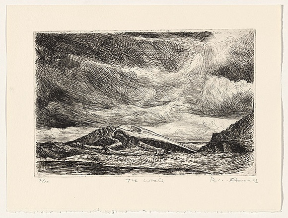 Artist: b'AMOR, Rick' | Title: b'The whale.' | Date: 1993 | Technique: b'etching, printed in black ink, from one plate'