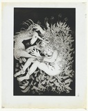 Artist: BOYD, Arthur | Title: (wrapped in foliage). | Date: 1973-74 | Technique: aquatint, printed in black ink, from one plate | Copyright: Reproduced with permission of Bundanon Trust