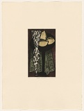 Title: Black compote | Date: 1990 | Technique: drypoint and aquatint, printed in black ink, from one plate; additional hand colouring