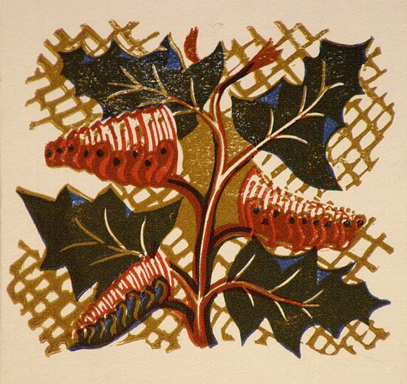 Artist: b'OGILVIE, Helen' | Title: b'Greeting card: Grevillea. (Print designed as christmas card)' | Date: c.1951 | Technique: b'linocut, printed in colour, from multiple blocks'