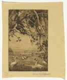 Artist: Montgomery, Anne. | Title: (Geese) | Date: (1930s) | Technique: etching, aquatint printed in brown ink with plate-tone, from one plate