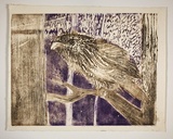 Artist: Haxton, Elaine | Title: Frog mouthed owl | Date: 1966 | Technique: woodcut, printed in colour, from multiple blocks