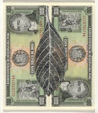 Artist: HALL, Fiona | Title: Cinchona officinalis - Jesuit's bark (Peruvian currency) | Date: 2000 - 2002 | Technique: gouache | Copyright: © Fiona Hall