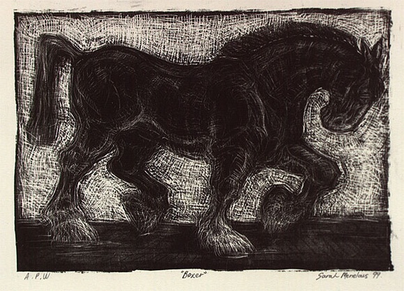 Artist: b'MENELAUS, Sarah' | Title: b'Boxer' | Date: 1999, February | Technique: b'lithograph, printed in black ink, from one stone'