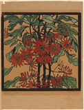 Artist: b'PRESTON, Margaret' | Title: b'Wheelflower.' | Date: 1929 | Technique: b'woodcut, printed in black ink, from one block; hand-coloured' | Copyright: b'\xc2\xa9 Margaret Preston. Licensed by VISCOPY, Australia'