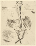 Artist: MACQUEEN, Mary | Title: Dance | Date: 1975 | Technique: lithograph, printed in black ink, from one plate | Copyright: Courtesy Paulette Calhoun, for the estate of Mary Macqueen