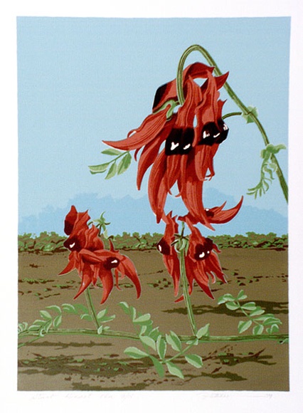 Artist: b'letcher, William.' | Title: b'Sturt Desert Pea.' | Date: 1979 | Technique: b'screenprint, printed in colour, from multiple stencils' | Copyright: b'With the permission of The William Fletcher Trust which provides assistance to young artists.'
