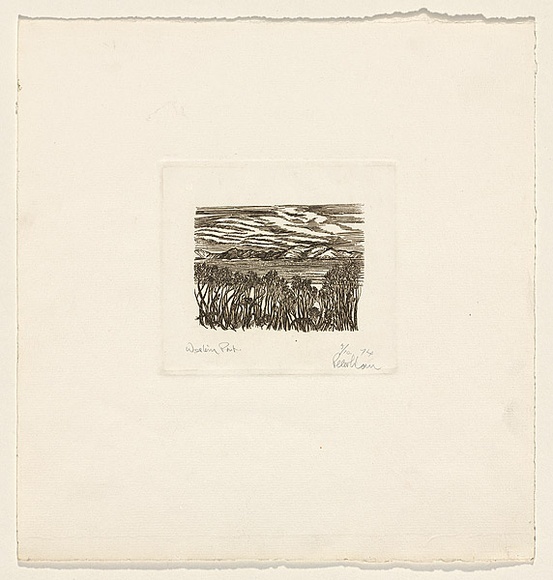 Title: b'Western Point' | Date: 1974 | Technique: b'etching, printed in brown ink, from one plate'