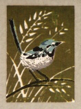 Artist: b'Palmer, Ethleen.' | Title: b'(Blue wren)' | Date: c.1955 | Technique: b'screenprint, printed in colour, from multiple stencils'